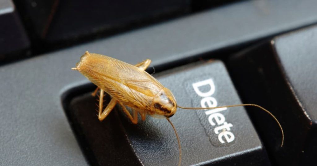 Уничтожение тараканов в офисе в Читой